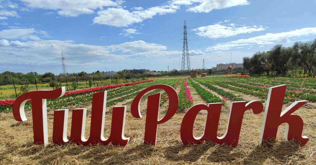 Galleria foto 'TuliPark Bari, si inaugura la seconda stagione: quasi 100 specie di tulipani e 330mila bulbi – FOTO' - foto 1