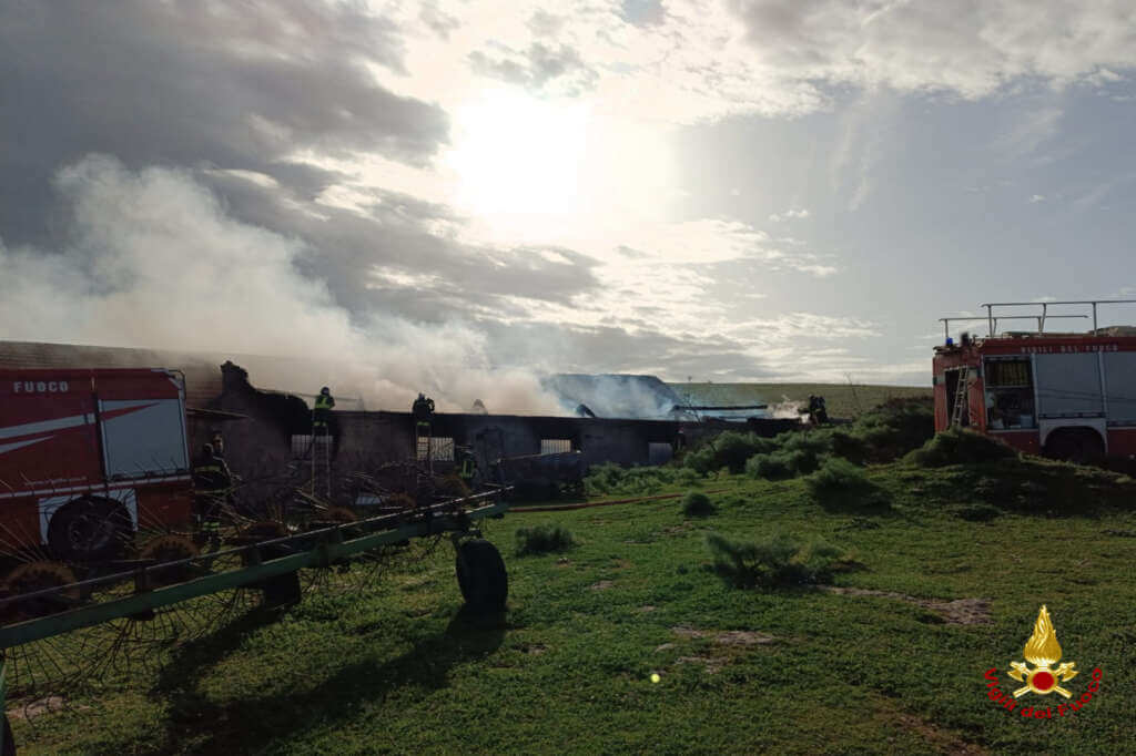 Galleria foto 'Incendio in un casolare nel Parco dell’Alta Murgia: intervengono i vigili del fuoco – FOTO' - foto 3