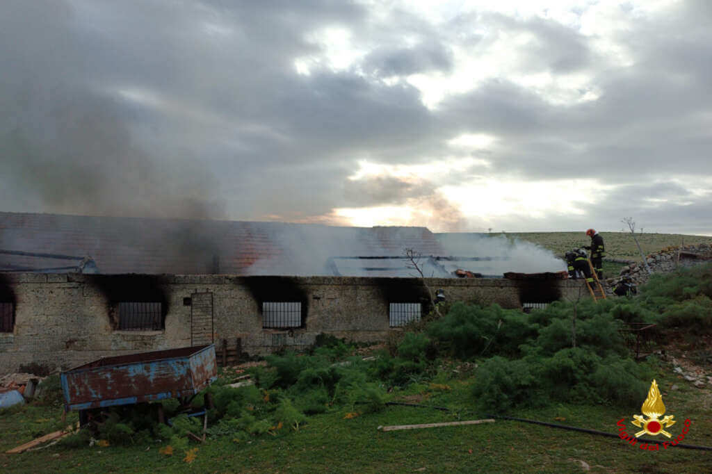 Galleria foto 'Incendio in un casolare nel Parco dell’Alta Murgia: intervengono i vigili del fuoco – FOTO' - foto 2