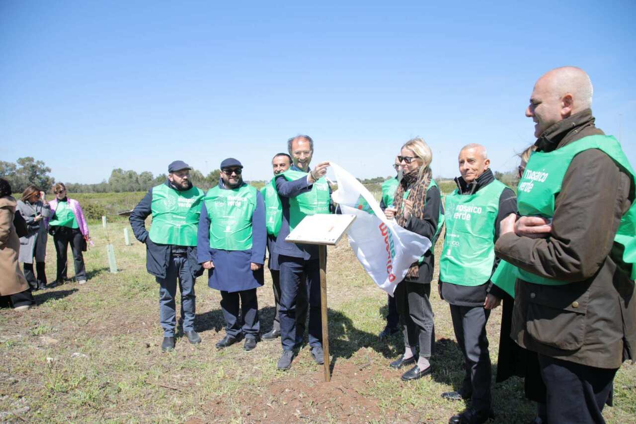 Lecce dichiara guerra all’anidride carbonica: mille alberi in una nuova area verde Lecce dichiara guerra all’anidride carbonica: mille alberi in una nuova area verde