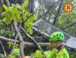 Monte Faito, incidente in funivia: 4 morti. Un ferito in condizioni critiche ma stabili