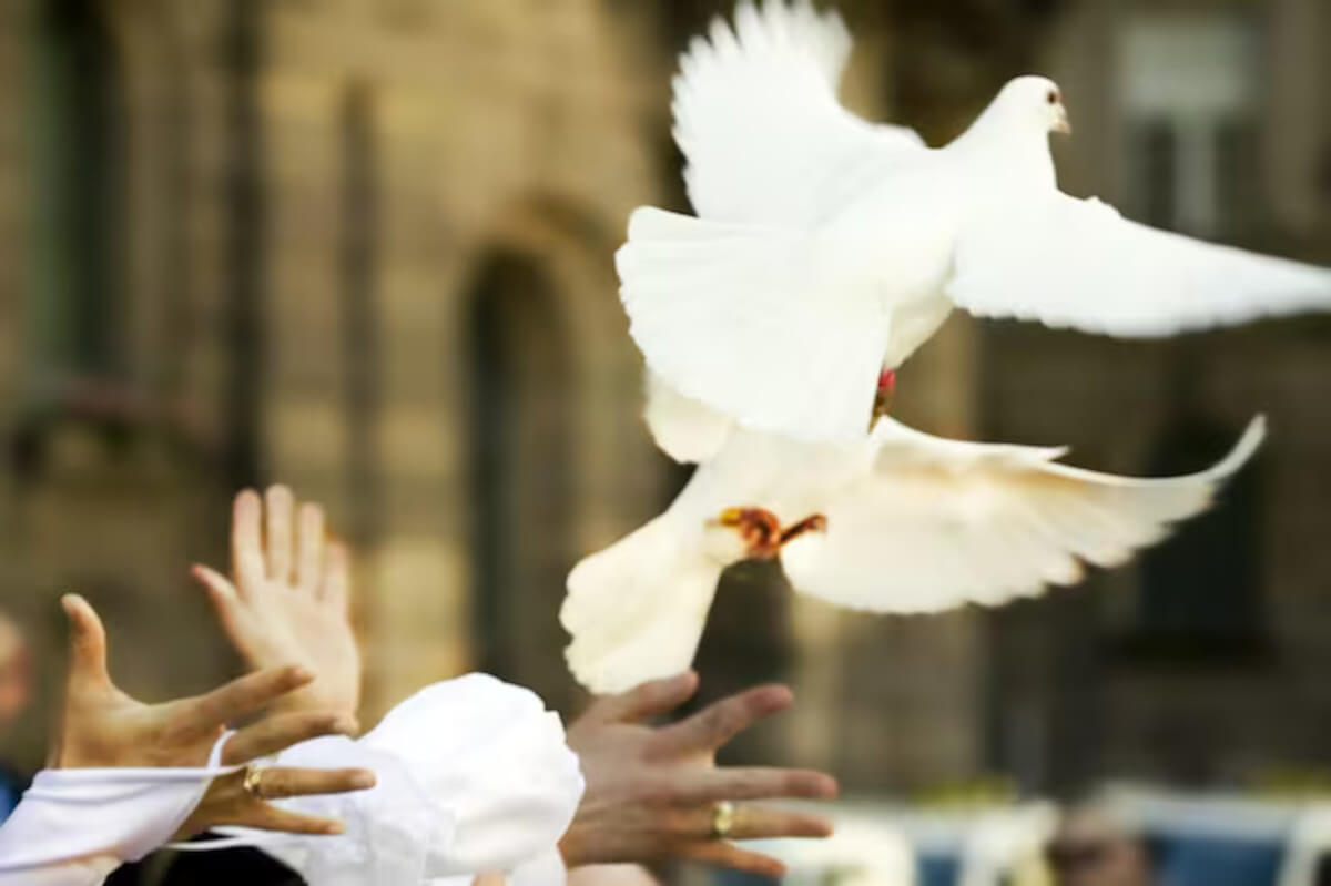 Pasqua, pace e il silenzio delle pistole