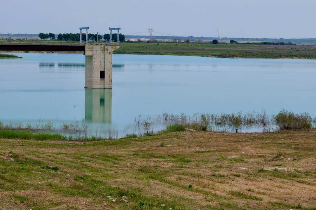 Puglia, via ai lavori per la messa in funzione della diga del Pappadai: «Aqp pronto a distribuire acqua al Sud» – VIDEO Puglia, via ai lavori per la messa in funzione della diga del Pappadai: «Aqp pronto a distribuire acqua al Sud» – VIDEO