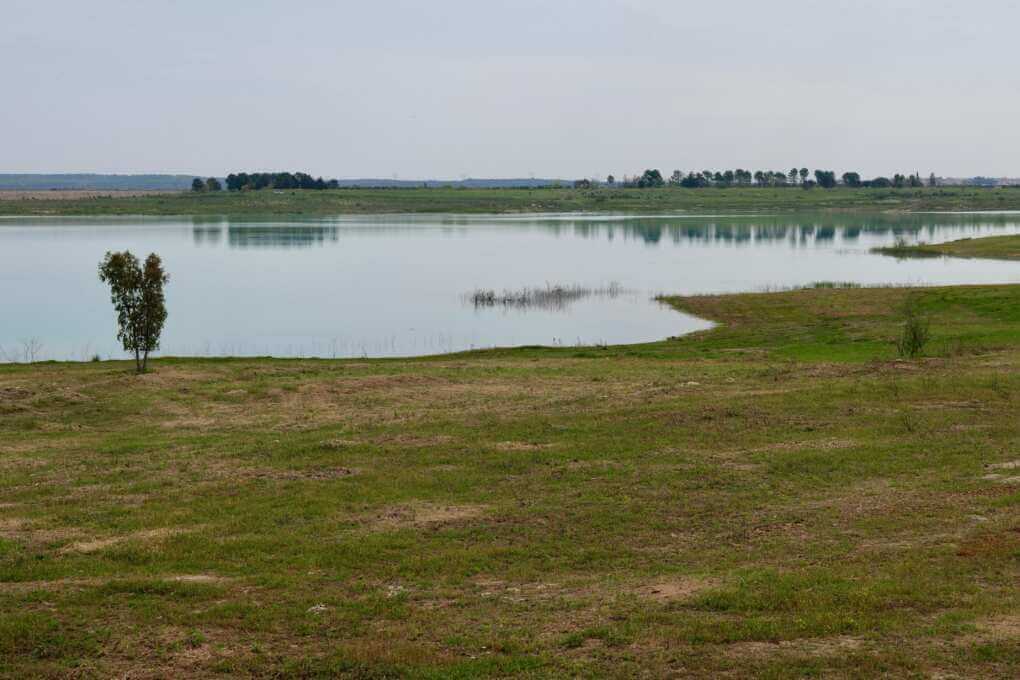Puglia, via ai lavori per la messa in funzione della diga del Pappadai: «Aqp pronto a distribuire acqua al Sud» – VIDEO Puglia, via ai lavori per la messa in funzione della diga del Pappadai: «Aqp pronto a distribuire acqua al Sud» – VIDEO