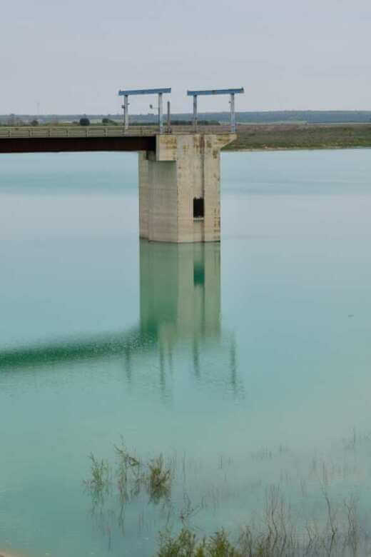 Puglia, via ai lavori per la messa in funzione della diga del Pappadai: «Aqp pronto a distribuire acqua al Sud» – VIDEO Puglia, via ai lavori per la messa in funzione della diga del Pappadai: «Aqp pronto a distribuire acqua al Sud» – VIDEO