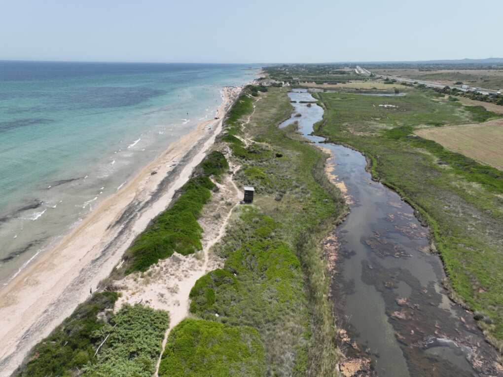 Puglia, Triggiani: «Le dune costiere sono un patrimonio prezioso e fragile da tutelare» – FOTO Puglia, Triggiani: «Le dune costiere sono un patrimonio prezioso e fragile da tutelare» – FOTO