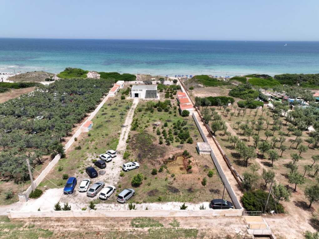 Puglia, Triggiani: «Le dune costiere sono un patrimonio prezioso e fragile da tutelare» – FOTO Puglia, Triggiani: «Le dune costiere sono un patrimonio prezioso e fragile da tutelare» – FOTO