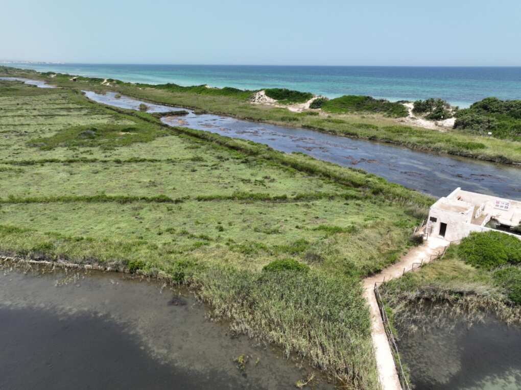 Puglia, Triggiani: «Le dune costiere sono un patrimonio prezioso e fragile da tutelare» – FOTO Puglia, Triggiani: «Le dune costiere sono un patrimonio prezioso e fragile da tutelare» – FOTO