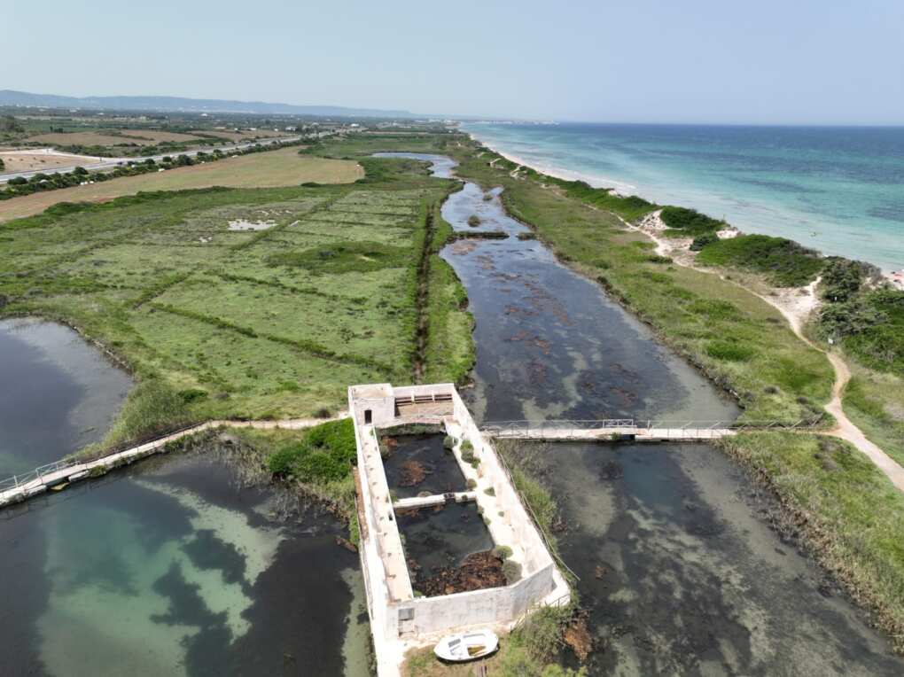 Puglia, Triggiani: «Le dune costiere sono un patrimonio prezioso e fragile da tutelare» – FOTO Puglia, Triggiani: «Le dune costiere sono un patrimonio prezioso e fragile da tutelare» – FOTO