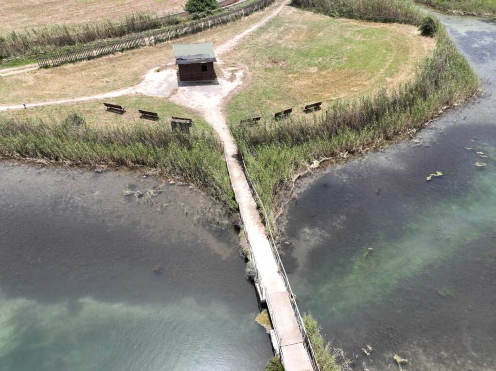 Puglia, Triggiani: «Le dune costiere sono un patrimonio prezioso e fragile da tutelare» – FOTO Puglia, Triggiani: «Le dune costiere sono un patrimonio prezioso e fragile da tutelare» – FOTO