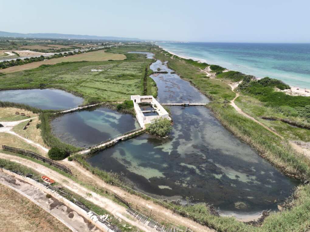 Puglia, Triggiani: «Le dune costiere sono un patrimonio prezioso e fragile da tutelare» – FOTO Puglia, Triggiani: «Le dune costiere sono un patrimonio prezioso e fragile da tutelare» – FOTO