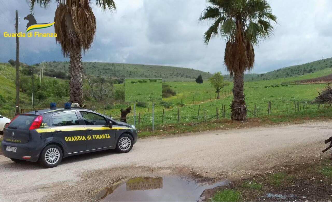 Minervino Murge, truffa sui contributi in agricoltura: arrestata una coppia – VIDEO Minervino Murge, truffa sui contributi in agricoltura: arrestata una coppia – VIDEO