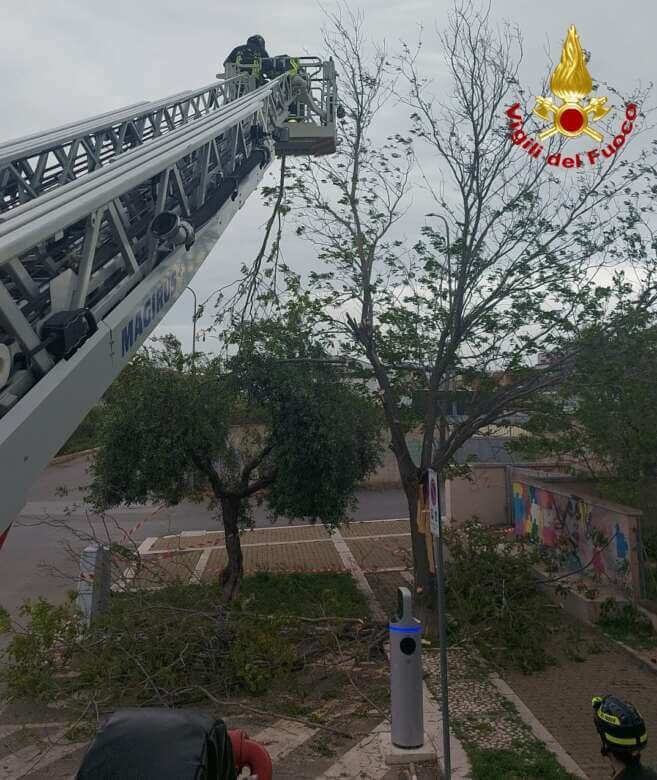 Maltempo, venti fino a 70 km orari nel Barese: oltre 50 interventi dei vigili del fuoco. A Noci ferito un uomo