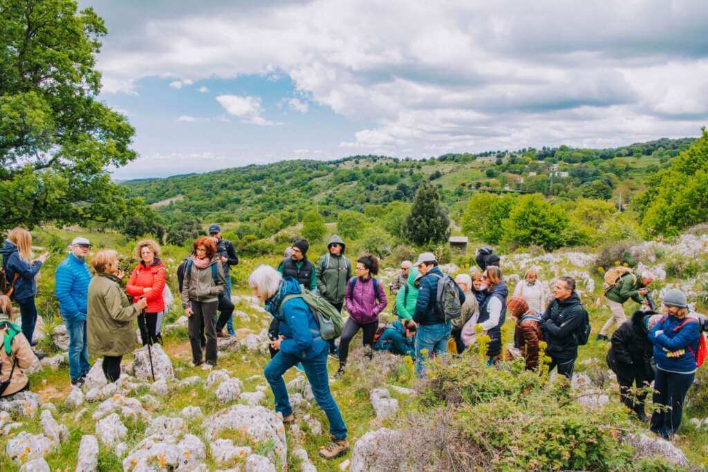 Mattinata, da tutto il mondo per gli “Orchidays”: 4 giorni di natura, escursioni e spettacoli – FOTO