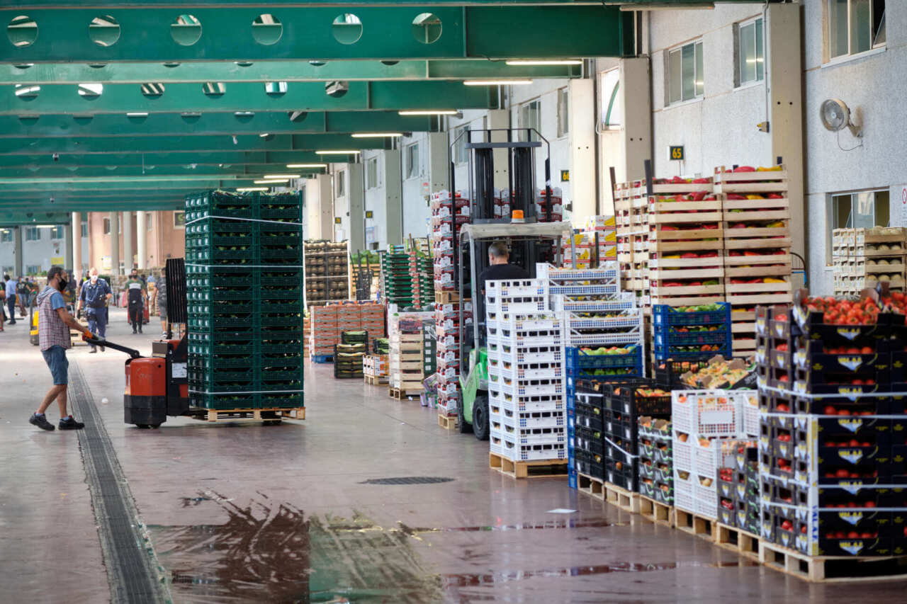 Il settore agroalimentare pugliese minacciato dai dazi Usa: sos a Governo e Regione