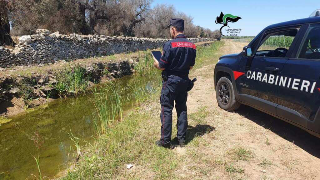 Lecce, scoperte 5 costruzioni abusive a Torre Chianca: denunciati i proprietari