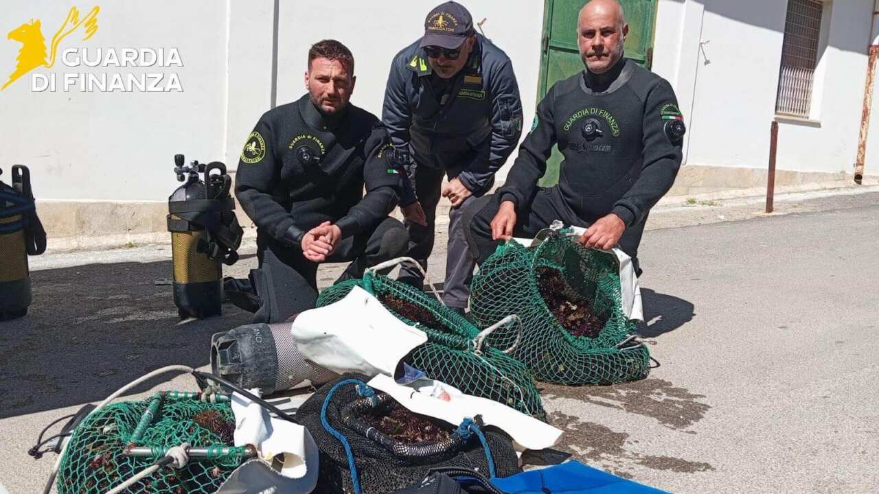 Sequestrate due tonnellate di pescato illegale in Puglia: nei guai 80 persone