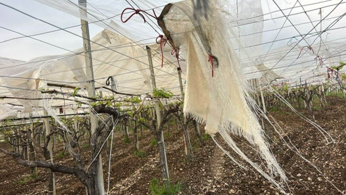 Maltempo, disagi per il vento forte in Puglia: a Bari due feriti. Aerei dirottati su Brindisi Maltempo, disagi per il vento forte in Puglia: a Bari due feriti. Aerei dirottati su Brindisi