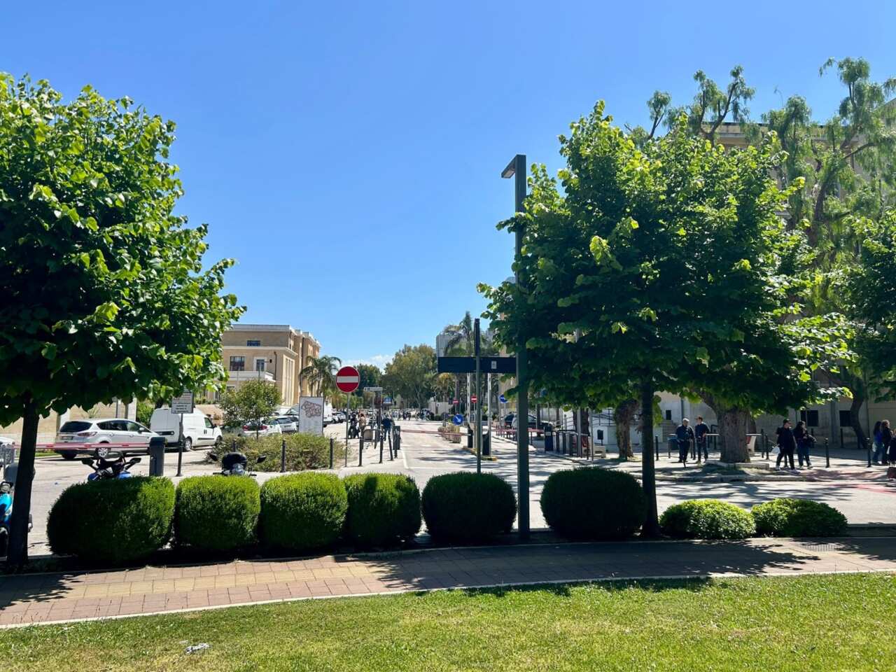 Bari, il Policlinico diventa green: nasce un percorso verde per migliorare la qualità dell’ambiente Bari, il Policlinico diventa green: nasce un percorso verde per migliorare la qualità dell’ambiente
