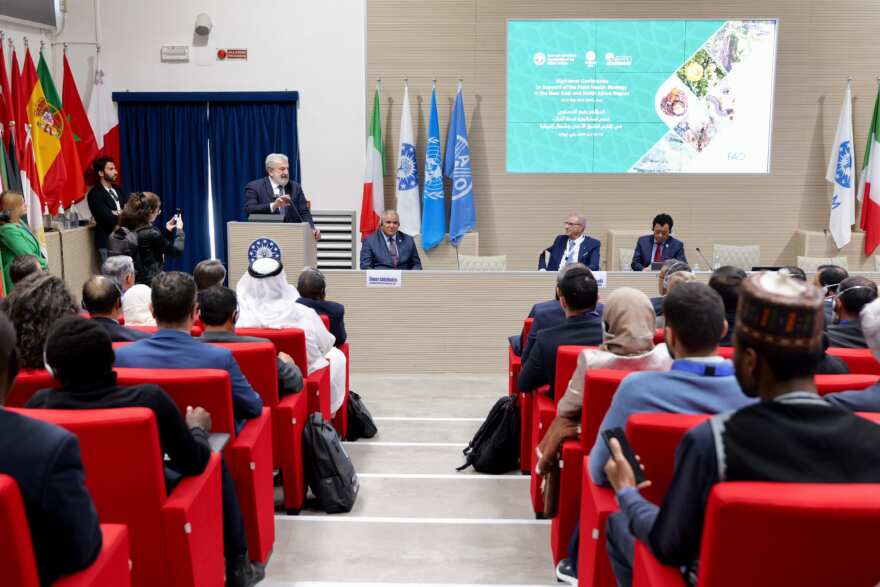 Verso un futuro agricolo sostenibile, al Ciheam Bari focus sulla strategia fitosanitaria regionale – VIDEO Verso un futuro agricolo sostenibile, al Ciheam Bari focus sulla strategia fitosanitaria regionale – VIDEO