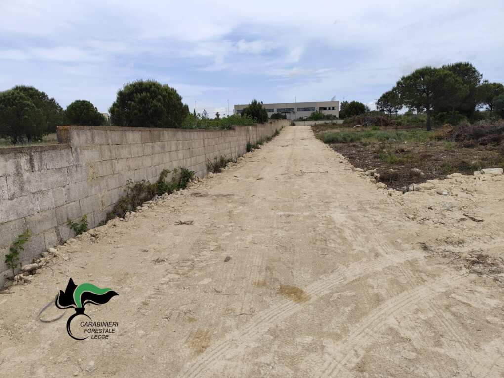 Gallipoli, scoperta una strada “abusiva” vicino al Parco di Punta Pizzo: denunciate 2 persone Gallipoli, scoperta una strada “abusiva” vicino al Parco di Punta Pizzo: denunciate 2 persone