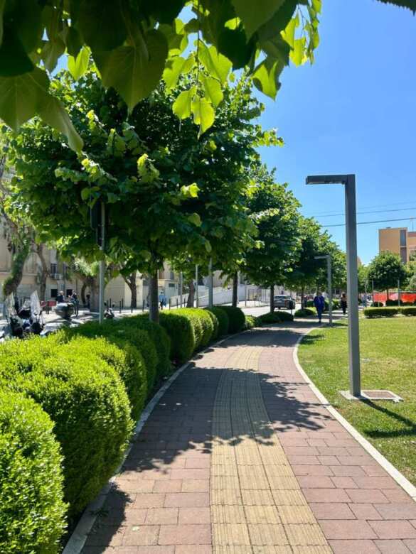 Bari, il Policlinico diventa green: nasce un percorso verde per migliorare la qualità dell’ambiente Bari, il Policlinico diventa green: nasce un percorso verde per migliorare la qualità dell’ambiente