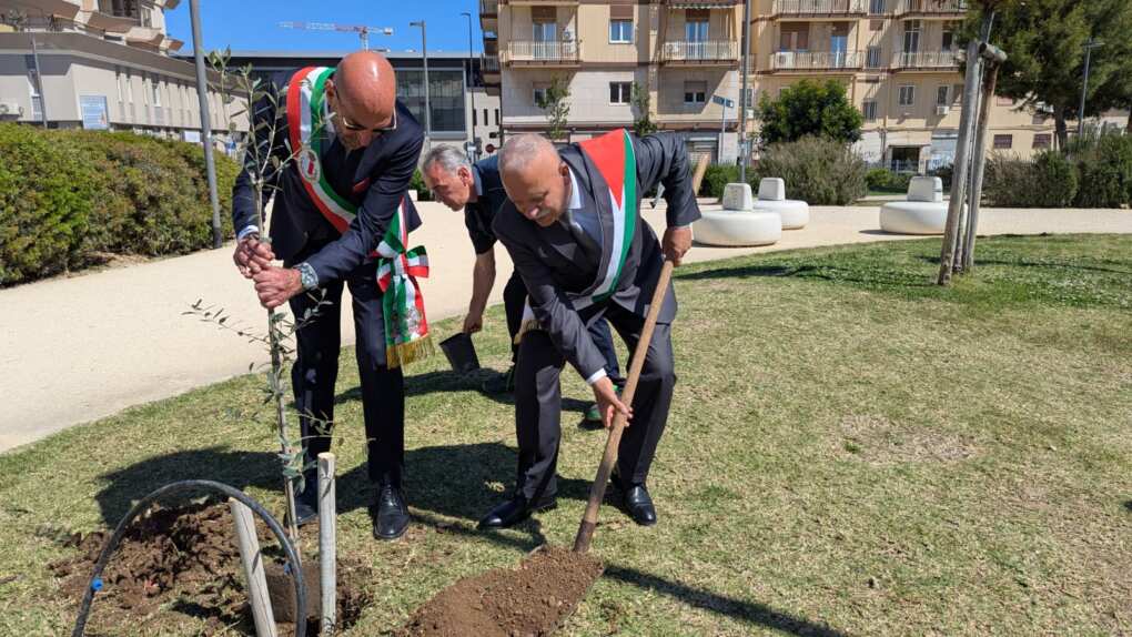 Bari, Beit Jala e Cesa unite nel segno della pace e di San Nicola: piantato un ulivo nel Parco Rossani – FOTO Bari, Beit Jala e Cesa unite nel segno della pace e di San Nicola: piantato un ulivo nel Parco Rossani – FOTO