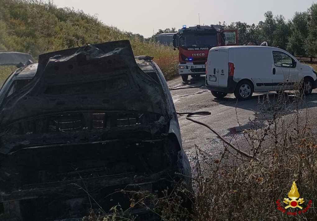 Assalto al portavalori sulla provinciale nel Barese: mezzi in fiamme e colpi d’arma da fuoco – VIDEO