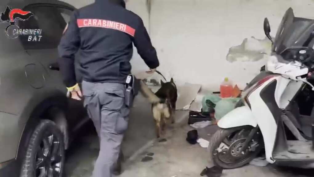 Trani, sequestrarono un autotrasportatore e lo rapinarono: sei arresti – VIDEO Trani, sequestrarono un autotrasportatore e lo rapinarono: sei arresti – VIDEO