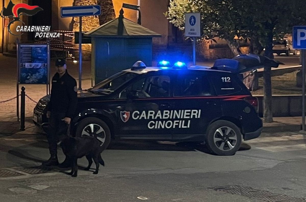 Brienza, in casa ha droga e un kit per la coltivazione di marijuana: arrestato un 40enne