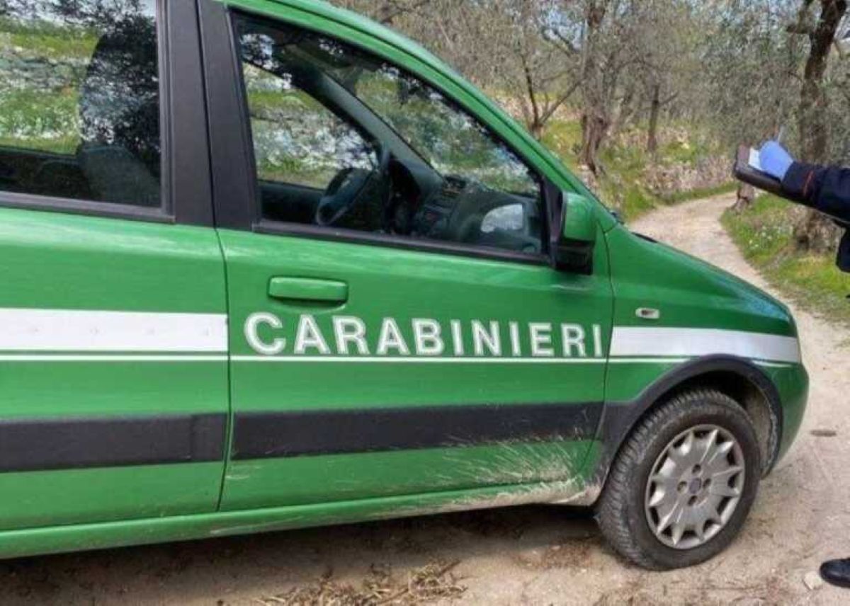 Mattinata, assolti tre carabinieri forestali: erano accusati di aver preso buoni carburante dalla caserma