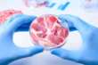 La carne coltivata tra paure e promesse: perché serve più scienza e non proibizioni