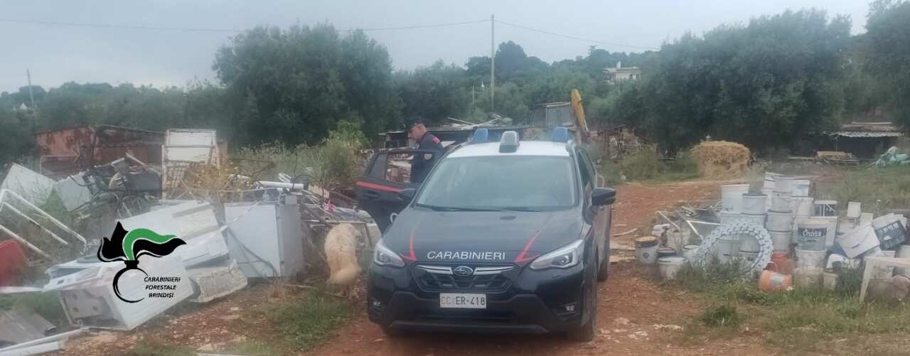 Cisternino, un terreno agricolo trasformato in discarica: sequestrata l’area, una denuncia Cisternino, un terreno agricolo trasformato in discarica: sequestrata l’area, una denuncia