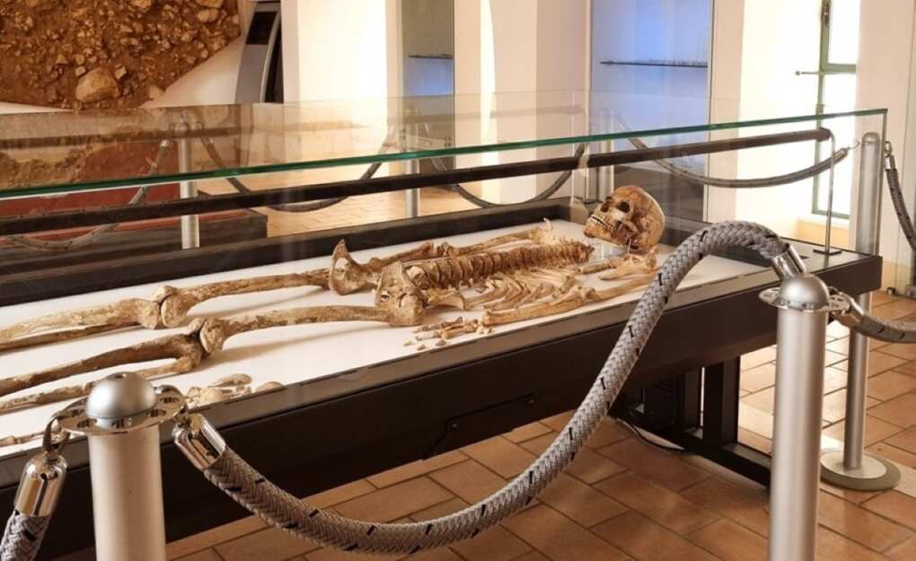 Ostuni, la “madre più antica del mondo” aspettava un maschietto: l’esito degli esami del Dna sul feto Ostuni, la “madre più antica del mondo” aspettava un maschietto: l’esito degli esami del Dna sul feto