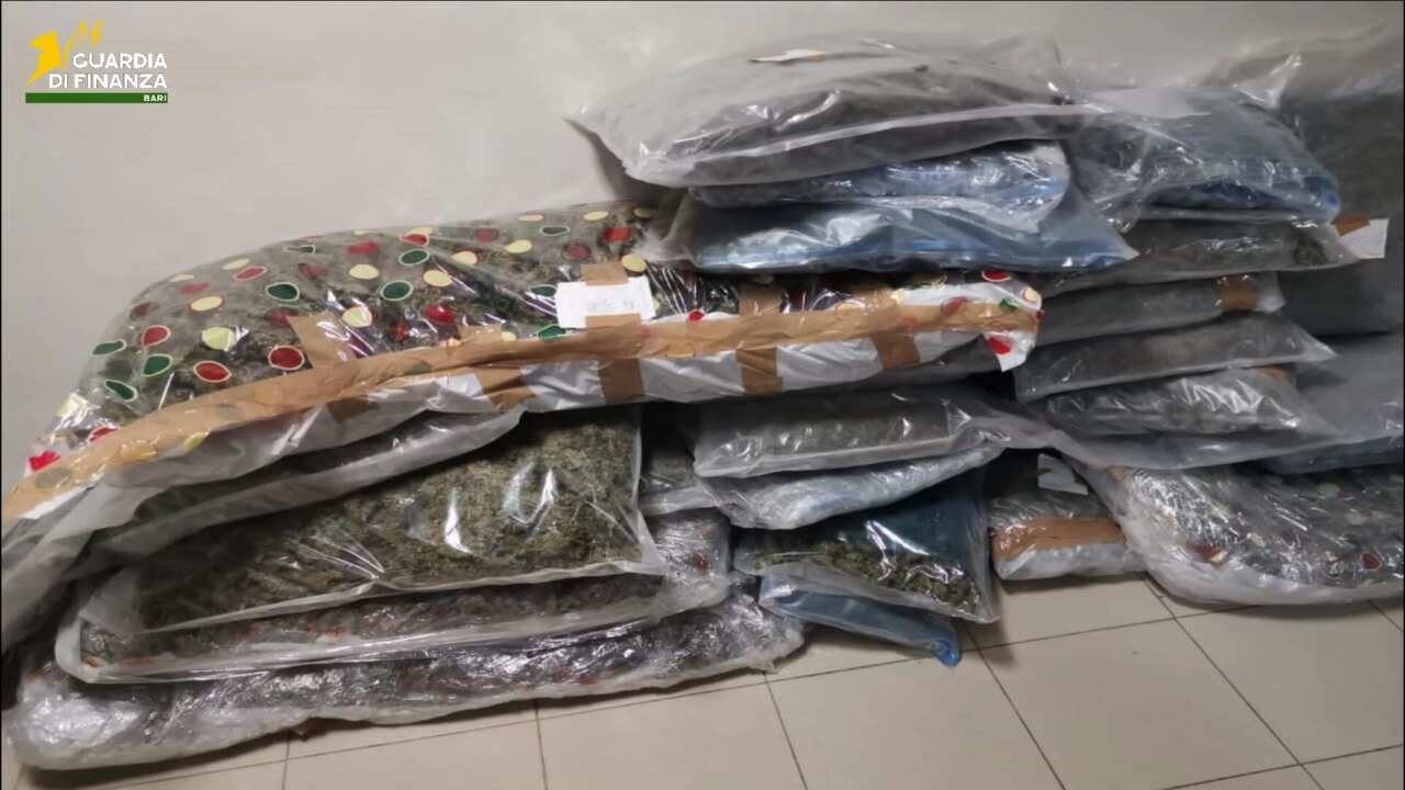 Sannicandro di Bari, droga venduta su Telegram: 12 arresti, anche esponenti del clan Parisi – VIDEO Sannicandro di Bari, droga venduta su Telegram: 12 arresti, anche esponenti del clan Parisi – VIDEO
