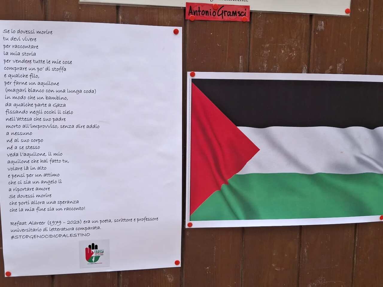 Barletta, libraia espone bandiera palestinese: «Turisti israeliani irritati hanno chiesto di rimuoverla» Barletta, libraia espone bandiera palestinese: «Turisti israeliani irritati hanno chiesto di rimuoverla»