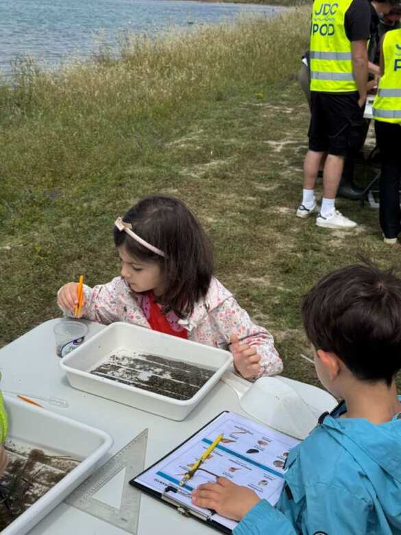 Taranto, sorpresa nel Mar Piccolo: la biodiversità è in aumento grazie alle bonifiche – FOTO