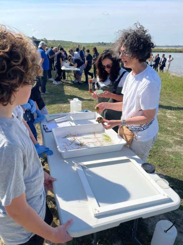 Taranto, sorpresa nel Mar Piccolo: la biodiversità è in aumento grazie alle bonifiche – FOTO
