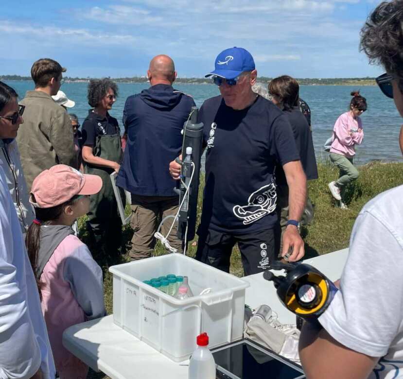 Taranto, sorpresa nel Mar Piccolo: la biodiversità è in aumento grazie alle bonifiche – FOTO