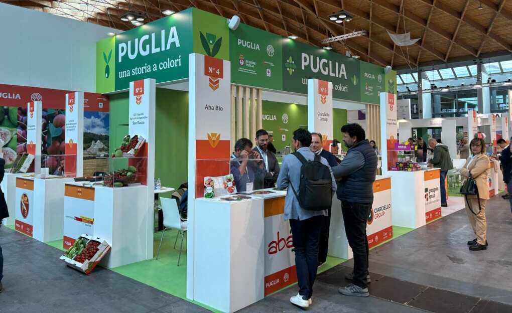 L’ortofrutta pugliese protagonista al MacFrut di Rimini, Piemontese: «Settore che si conferma un’eccellenza» L’ortofrutta pugliese protagonista al MacFrut di Rimini, Piemontese: «Settore che si conferma un’eccellenza»