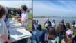 Taranto, sorpresa nel Mar Piccolo: la biodiversità è in aumento grazie alle bonifiche – FOTO