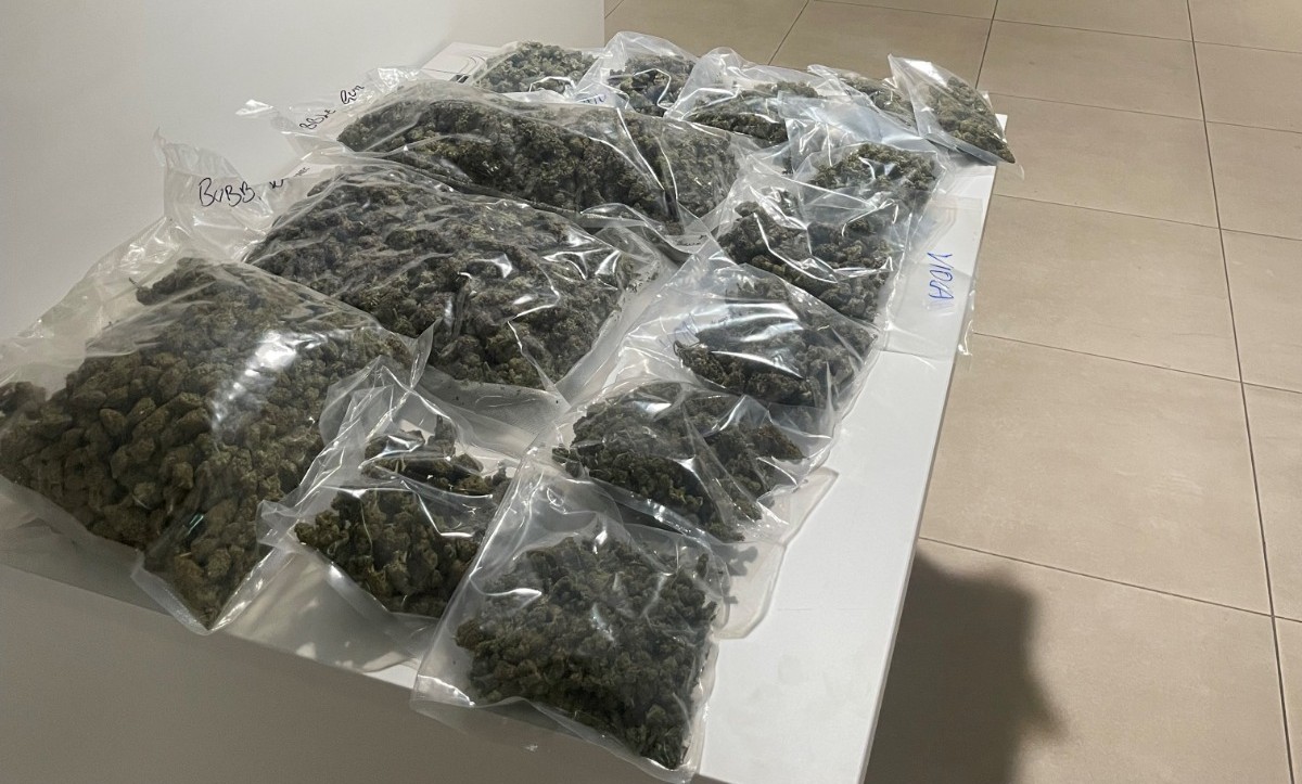 Barletta, nasconde in casa oltre quattro chili di marijuana: arrestato un 24enne Barletta, nasconde in casa oltre quattro chili di marijuana: arrestato un 24enne