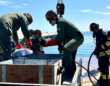Molfetta, trovate 10 bombe della seconda guerra mondiale nel porto: l’area bonificata da Esercito e Marina – FOTO