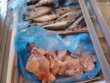 Lecce, sequestrati 30 kg di carne e pesce in cattivo stato di conservazione: maxi multa a un negoziante