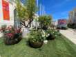 A Bari la 10° edizione di “Primavera Mediterranea”: piazza del Ferrarese si trasforma in un giardino urbano – FOTO