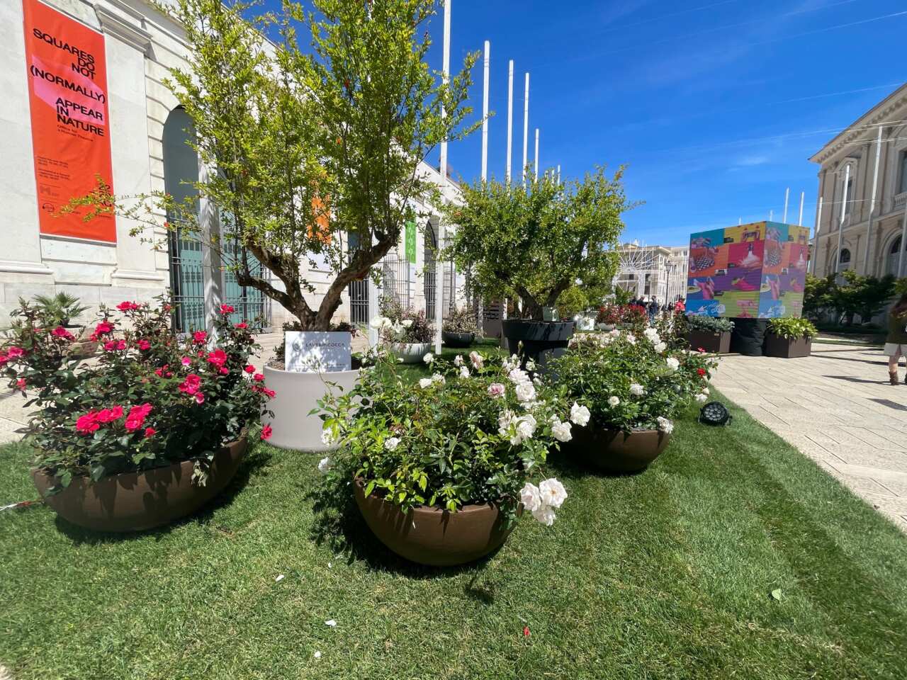 A Bari la 10° edizione di “Primavera Mediterranea”: piazza del Ferrarese si trasforma in un giardino urbano – FOTO