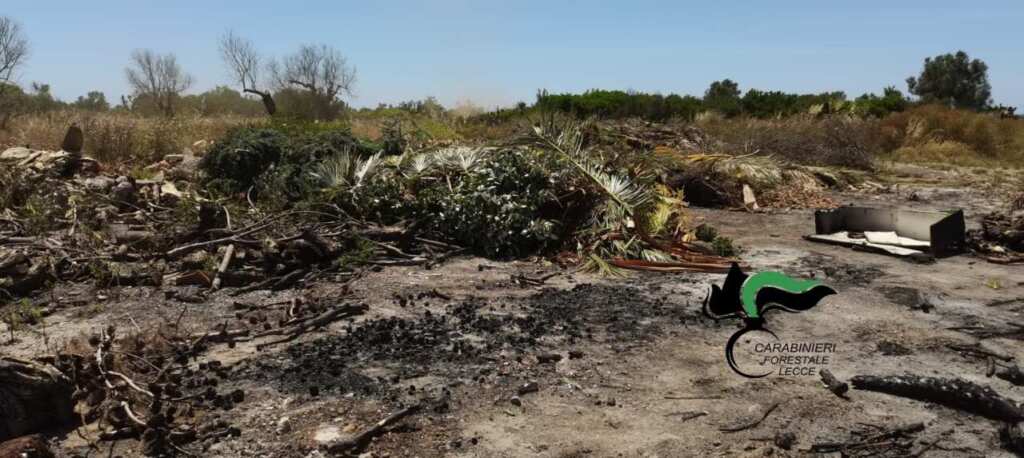 Alliste, terreno agricolo trasformato in discarica abusiva: c’era anche amianto, due denunce Alliste, terreno agricolo trasformato in discarica abusiva: c’era anche amianto, due denunce