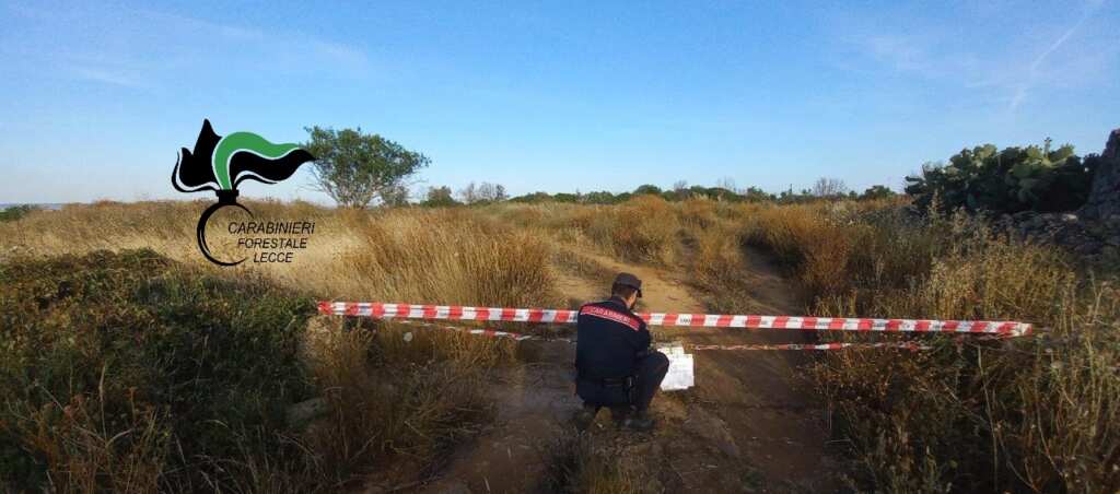 Alliste, terreno agricolo trasformato in discarica abusiva: c’era anche amianto, due denunce Alliste, terreno agricolo trasformato in discarica abusiva: c’era anche amianto, due denunce