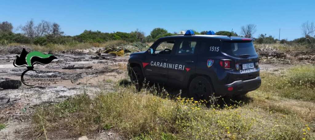 Alliste, terreno agricolo trasformato in discarica abusiva: c’era anche amianto, due denunce Alliste, terreno agricolo trasformato in discarica abusiva: c’era anche amianto, due denunce