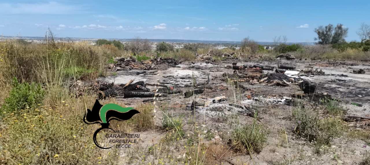 Alliste, terreno agricolo trasformato in discarica abusiva: c’era anche amianto, due denunce Alliste, terreno agricolo trasformato in discarica abusiva: c’era anche amianto, due denunce